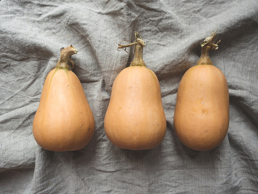 Three Butternut Squash on Gray Linen Cloth