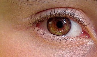 Extreme Close-Up of Human Brown Eye with Detailed Iris and Pupil