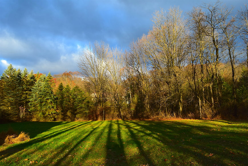 Autumn landscape with long tree shadows on green grass
