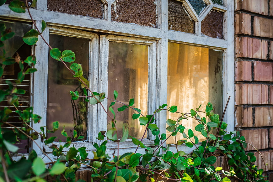 Overgrown vines on weathered window of old brick house