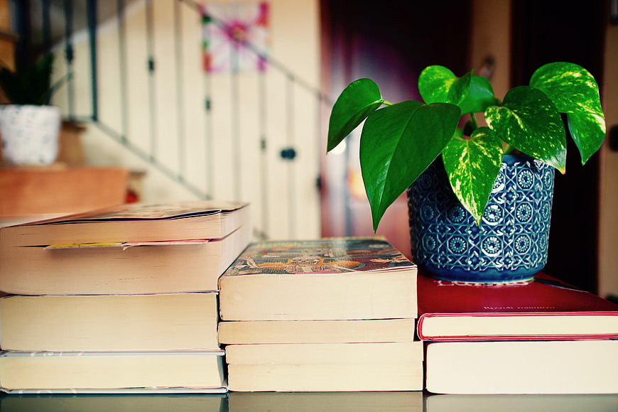 Stack of Books with Potted Plant on Table