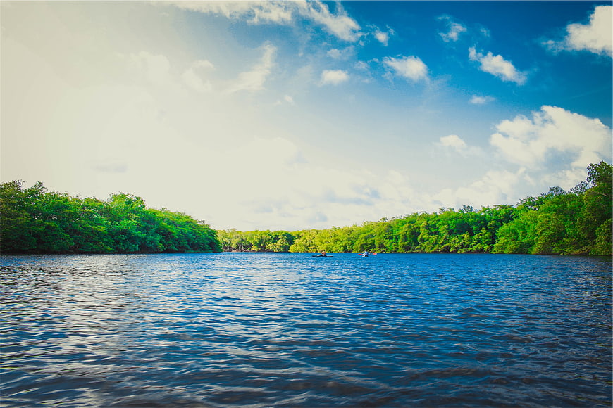 Kayaking on a Blue River with Green Mangroves and Cloudy Sky