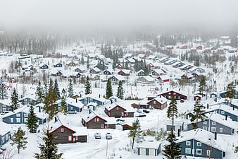 Snow-covered village in winter with foggy forest background