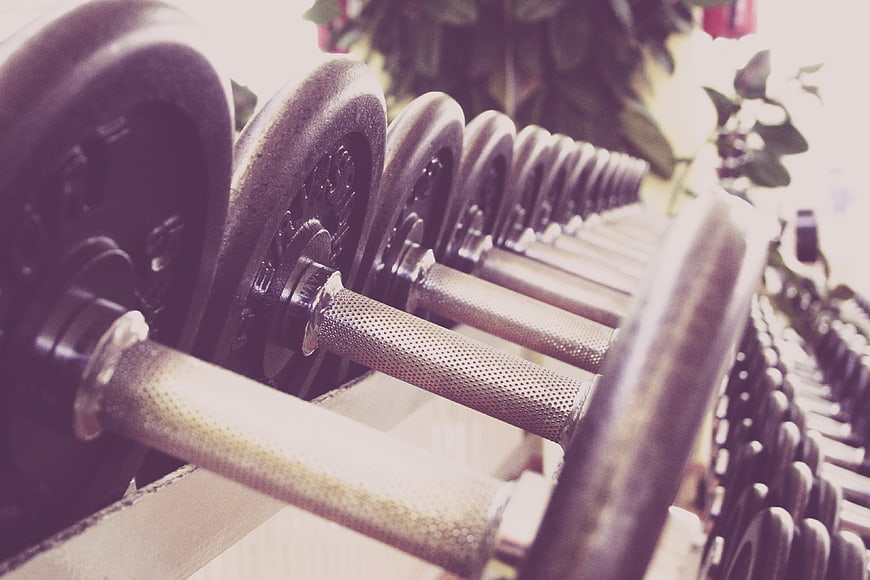 Close-up of Dumbbells on Rack in Fitness Gym