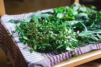 Fresh green herbs on striped kitchen towel