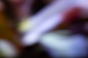 Abstract Blurred Bokeh Background with Soft Colorful Light