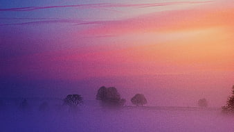 Misty Winter Landscape with Silhouetted Trees at Dawn