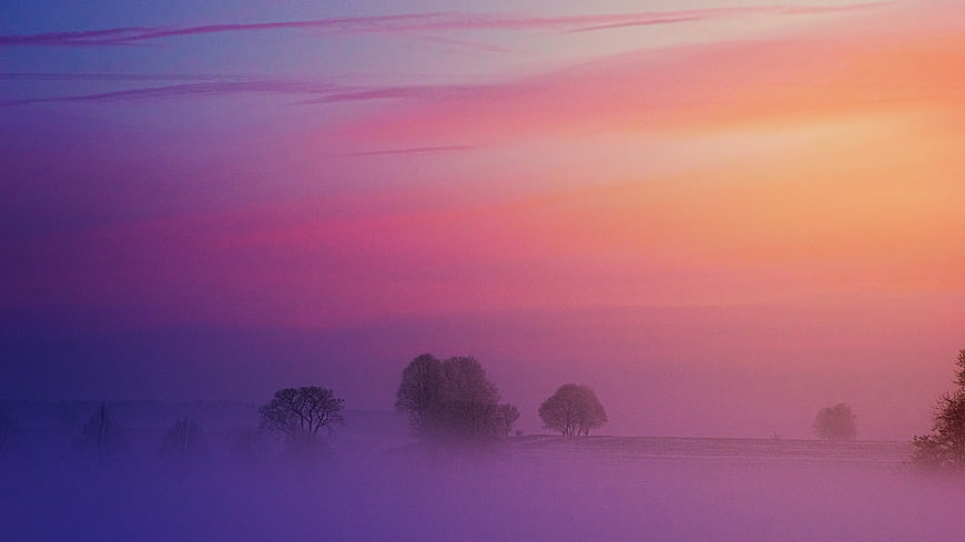 Misty Winter Landscape with Silhouetted Trees at Dawn