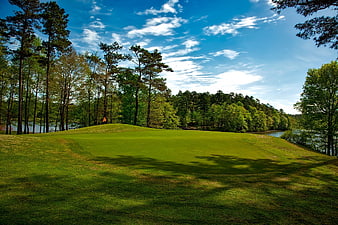 Lush Golf Course Green Near Lake and Pine Trees