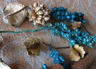 Dried blue berries and seed pods on textured fabric