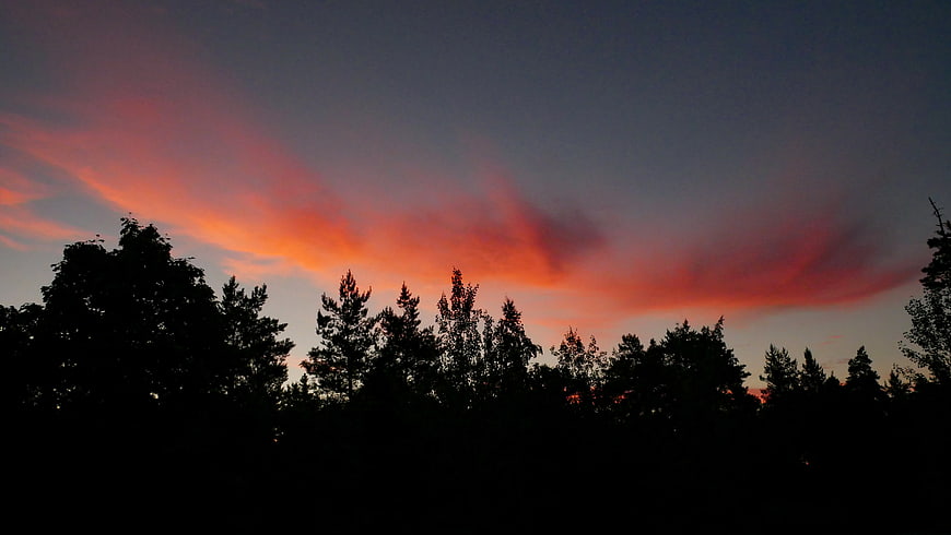 Dramatic orange sunset sky with tree silhouettes