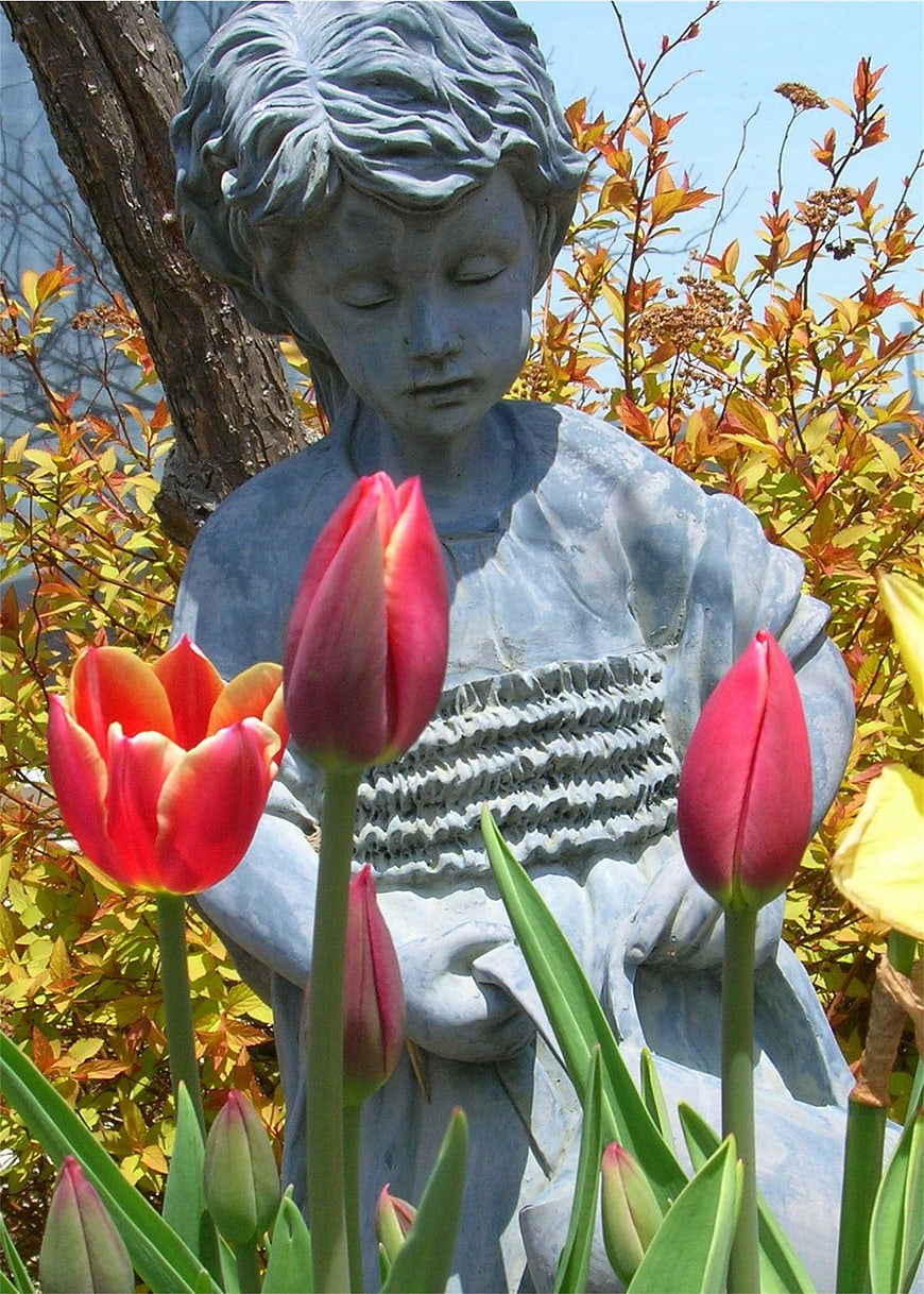 Stone Angel Statue Surrounded by Red Tulips in Garden