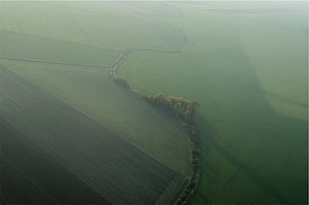 Aerial View of Green Agricultural Fields with Winding Tree Line