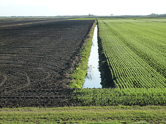 Agricultural landscape with plowed field and green crops divided by canal
