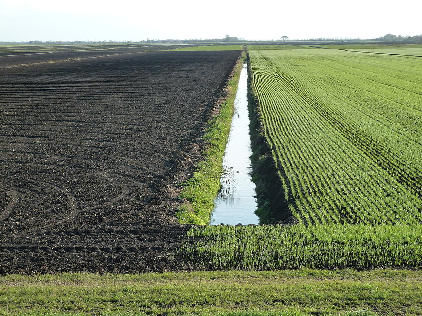 Agricultural landscape with plowed field and green crops divided by canal