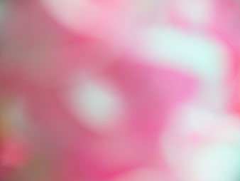 Soft Pink and White Abstract Bokeh Background