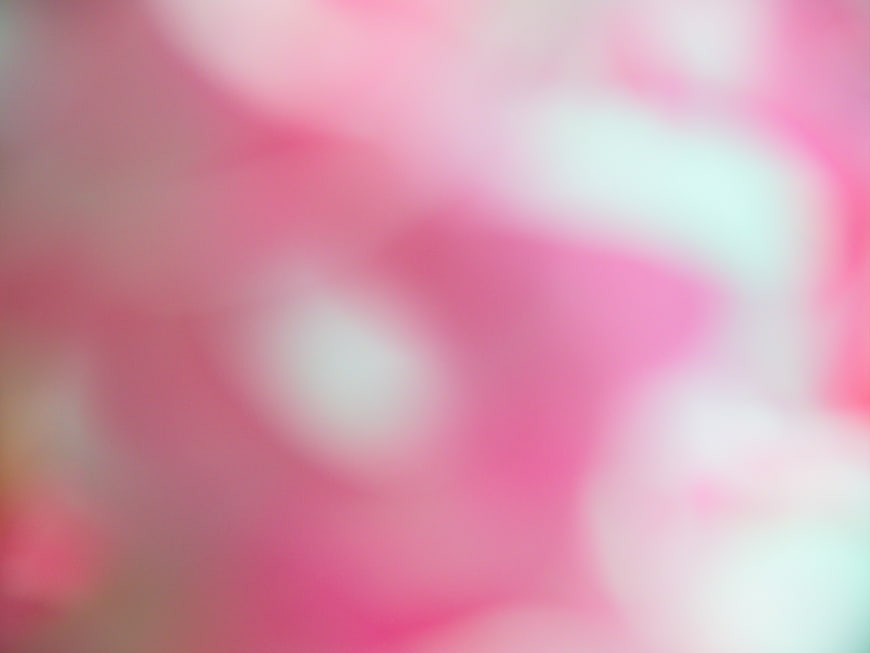 Soft Pink and White Abstract Bokeh Background