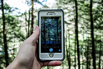 Hand holding smartphone taking photo of forest