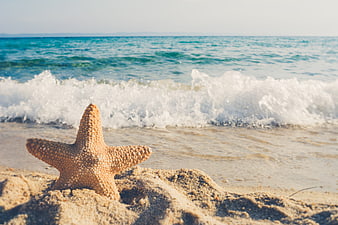 Starfish on sandy beach with ocean waves background