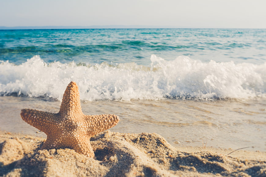 Starfish on sandy beach with ocean waves background