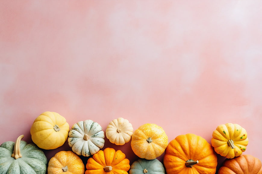 Colorful Miniature Pumpkins on Pink Background