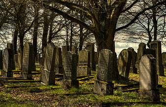 Old Jewish Cemetery with Weathered Tombstones and Trees