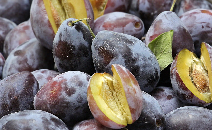 Close-up of fresh ripe plums with cut fruit showing yellow flesh