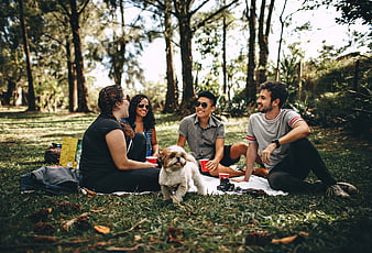 Diverse group of friends having a picnic with a dog in a park