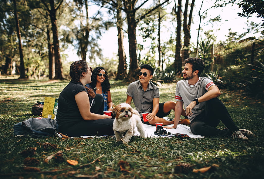 Diverse group of friends having a picnic with a dog in a park