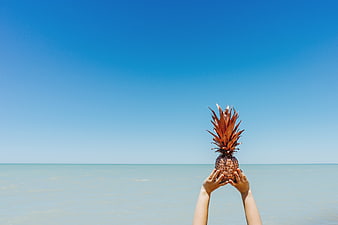 Hands holding pineapple against blue sky and ocean horizon