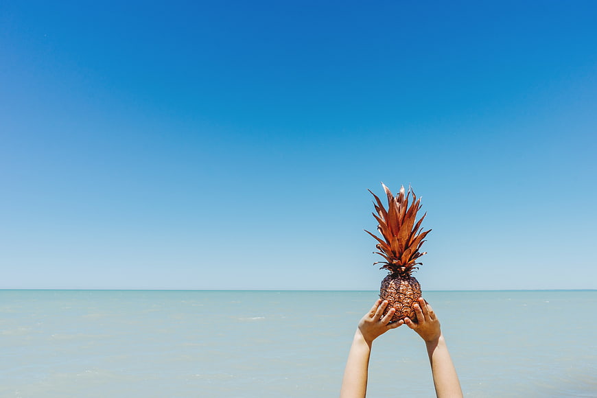Hands holding pineapple against blue sky and ocean horizon