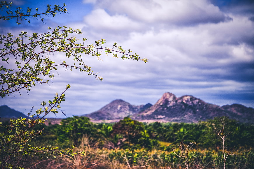 Scenic Mountain Landscape with Foreground Branches and Cloudy Sky