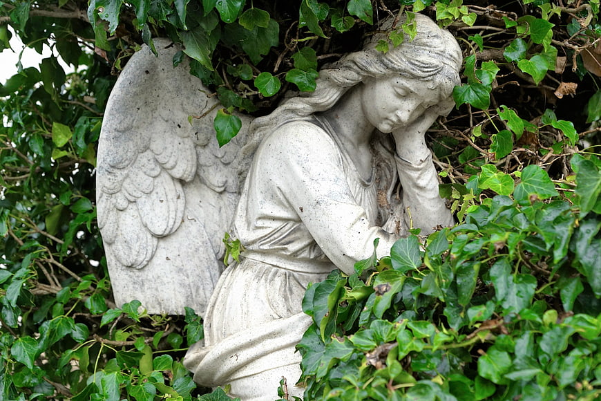 Weathered Stone Angel Statue Surrounded by Green Ivy