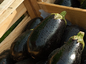 Fresh Wet Eggplants In Wooden Market Crate