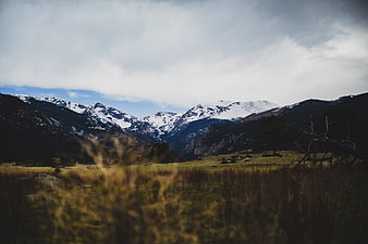 Snow-Capped Mountains Overlooking a Grassy Highland Meadow