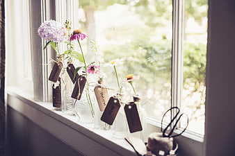 Dried wildflowers in glass bottles on a sunny windowsill