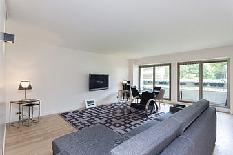 Modern minimalist living room with gray sofa and large windows