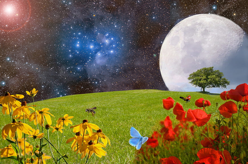 Fantasy landscape with giant moon, stars, and colorful flower meadow