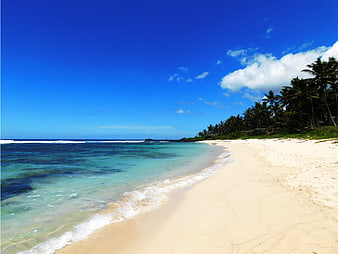 Tropical Beach with White Sand, Turquoise Water, and Palm Trees