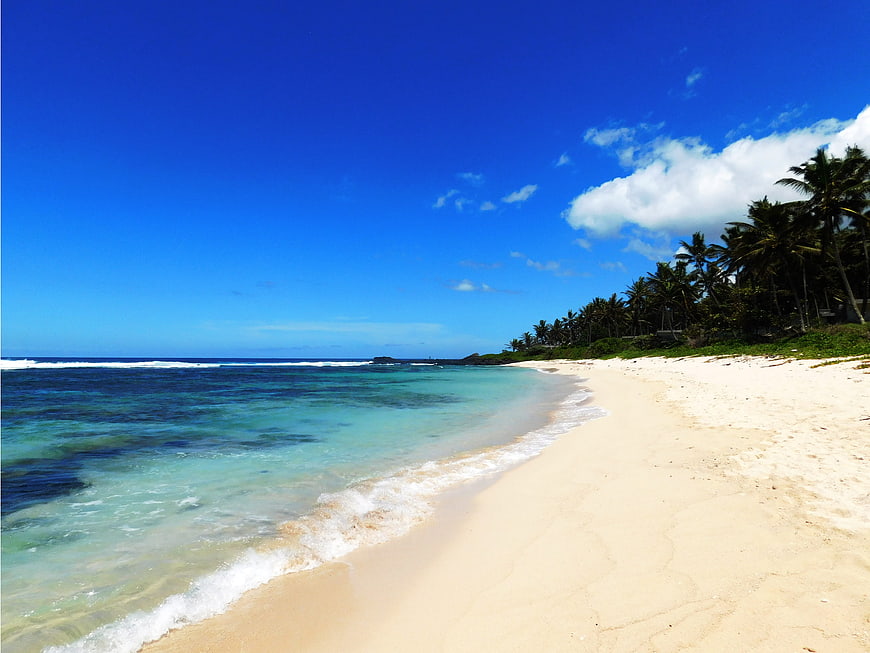Tropical Beach with White Sand, Turquoise Water, and Palm Trees