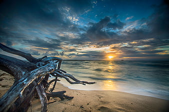 Dramatic Sunset Over Ocean With Driftwood Foreground