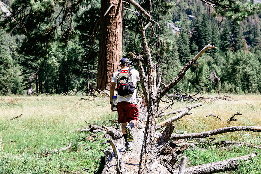 Man hiking on fallen log in sunny forest meadow