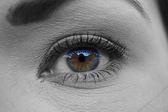 Close-up of eye with colorful iris and black and white skin