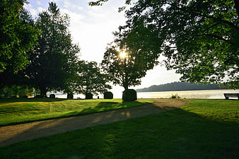 Sunlit Park Path by Lake with Trees and Bench