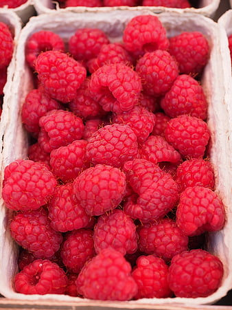 Fresh Red Raspberries in White Container