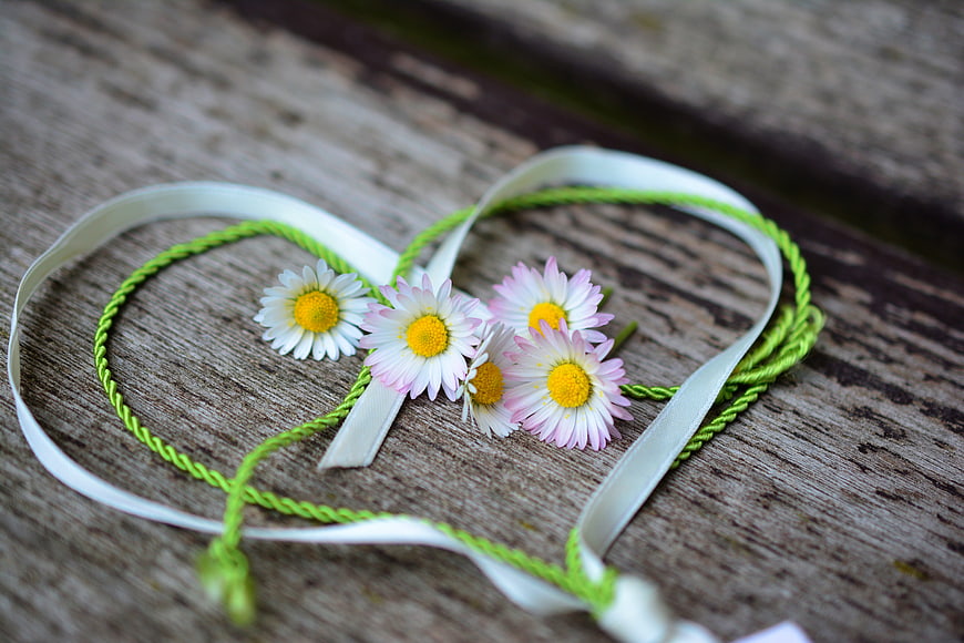 Heart shape made of ribbon and daisies on wood