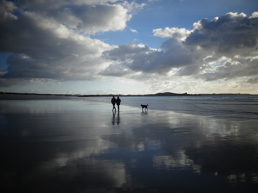 Couple and dog walking on a reflective beach under dramatic clouds