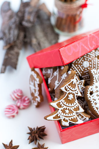 Traditional Christmas gingerbread cookies in a red gift box