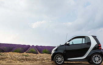 Black and Silver Smart Car Parked in Lavender Field