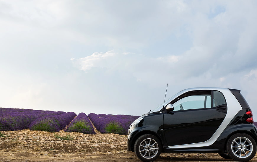 Black and Silver Smart Car Parked in Lavender Field